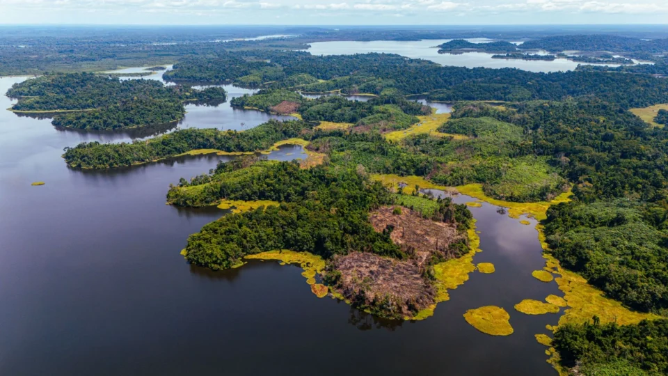 Aerial view of lush greenery and water bodies in a forest reserve, showcasing nature's beauty.