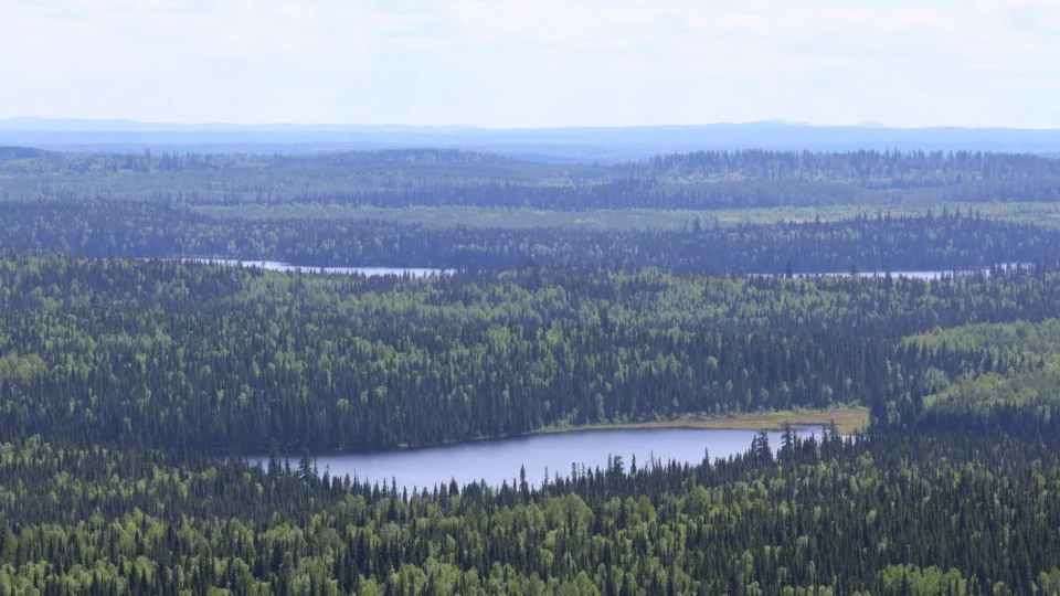 Expansive view of lush forests and serene lakes in British Columbia, Canada.