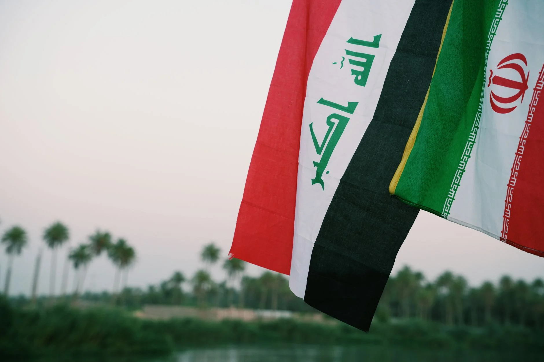 Iraqi and Iranian flags waving with palm trees in the background, Karbala, Iraq.