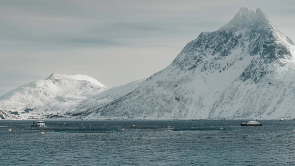 A serene landscape of snow-covered mountains and calm arctic ocean waters.