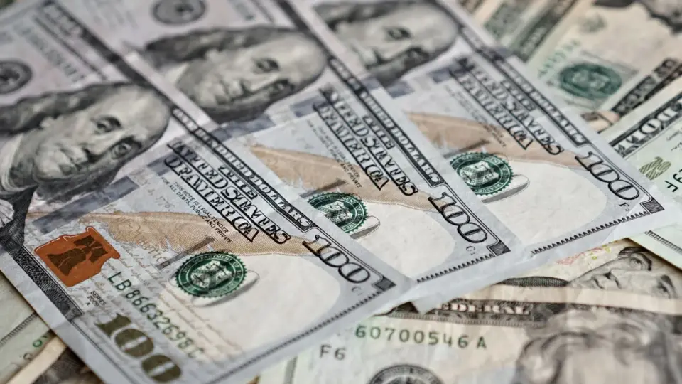 High-resolution image depicting a variety of US dollar bills, showcasing currency details.