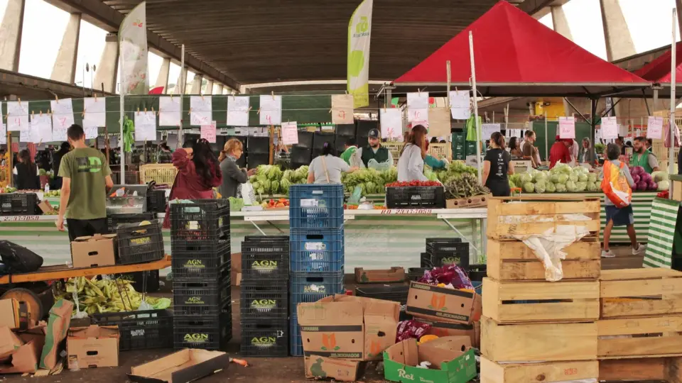 Vibrant indoor market scene with fresh produce and people shopping in São Paulo, Brazil.